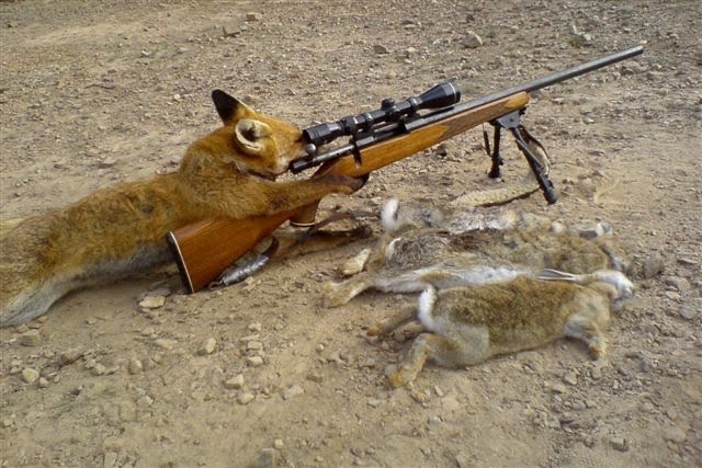 [fox+hunting.jpg]