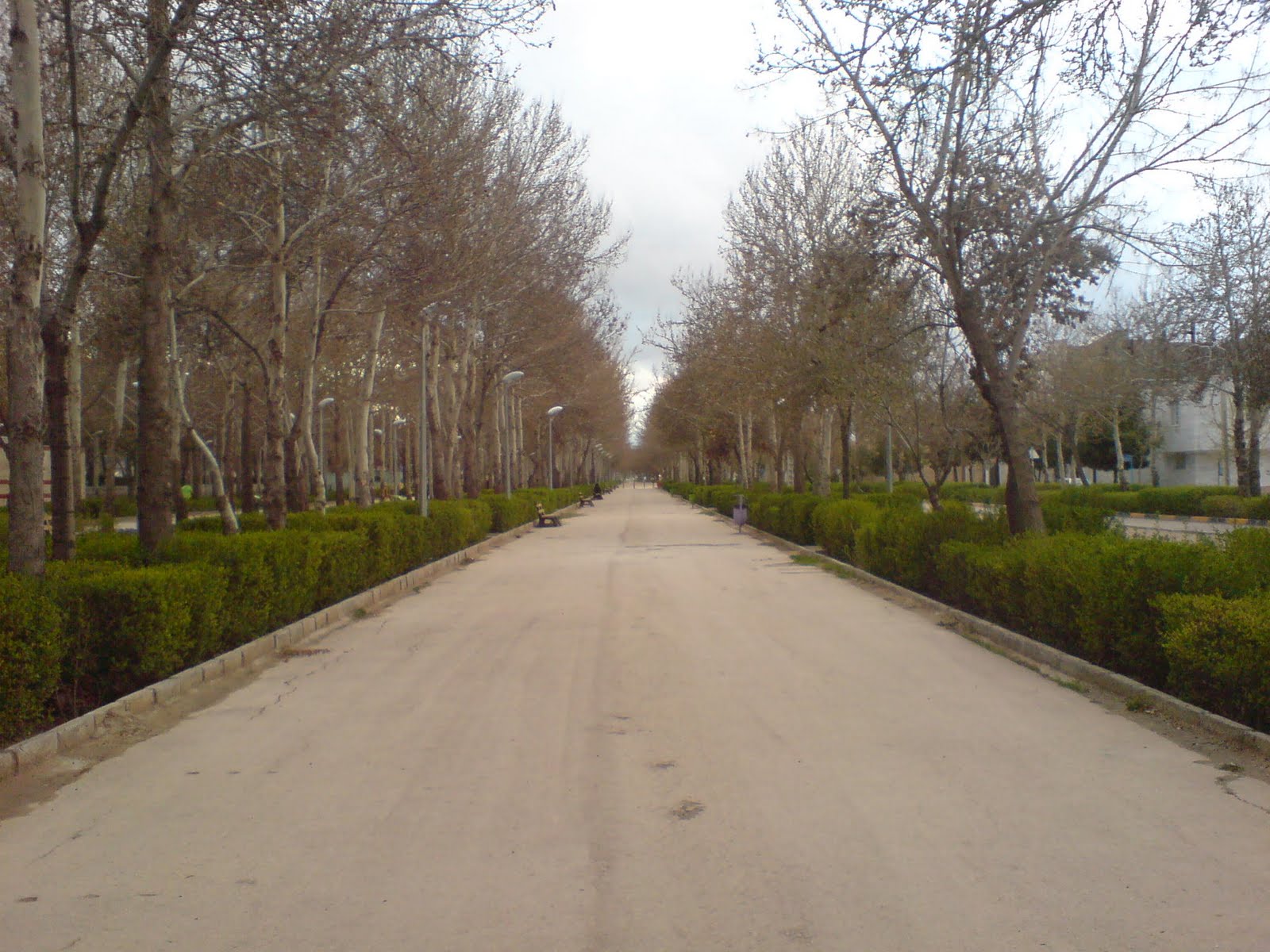 My Mobile Blog 13 Bedar