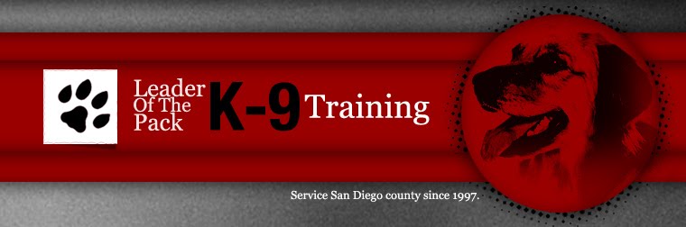 San Diego K-9 Training