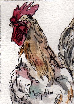 [rooster6.jpg]