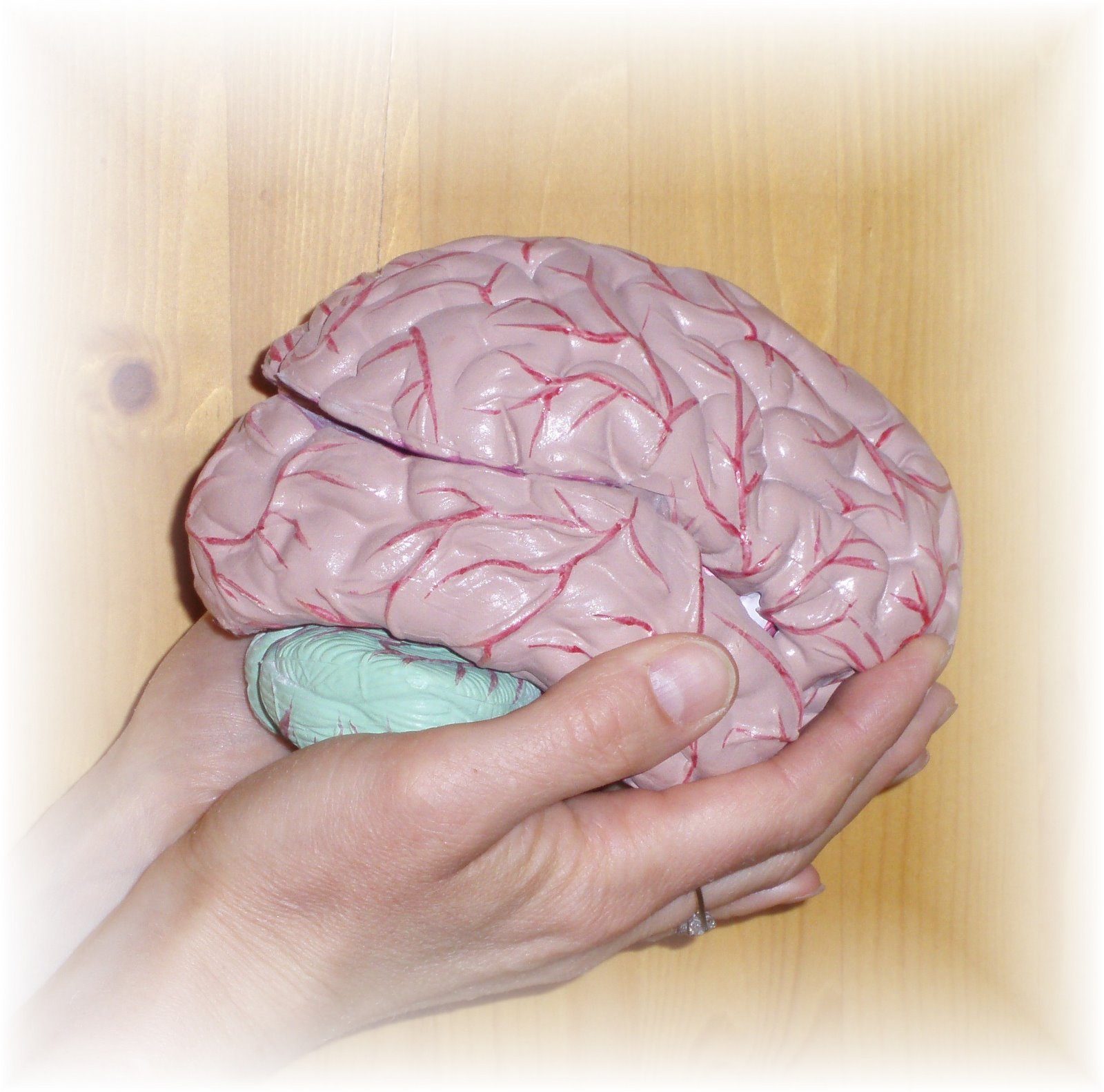 [brains+001.jpg]