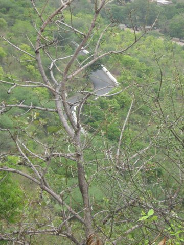 Tales Of A Nomad Yelagiri A Quaint Hill Station