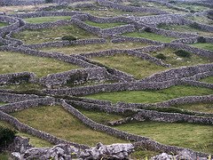 [AranIslandMaze.jpg]