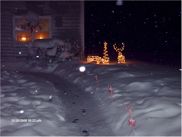 [snowwwwwwwwww02.jpg]