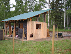 barn building chicken coop build horse run fence barns cheap farm coops hobby runs living things side plans starting horses