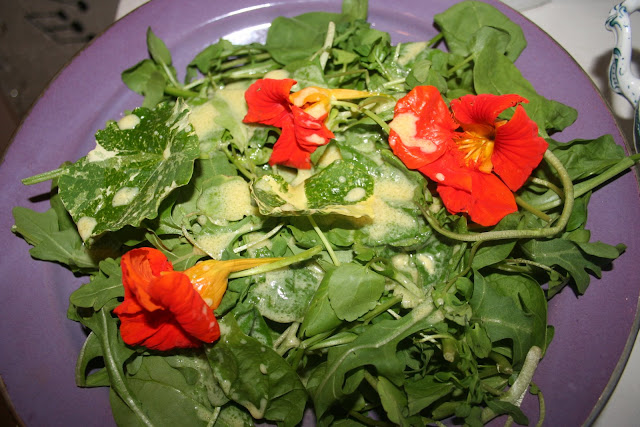 Mixed leaves with Nasturtiums