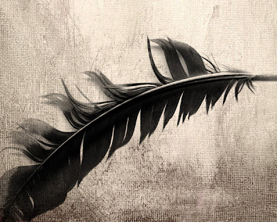 Pluma_Wallapaper_by_danianzueto.jpg