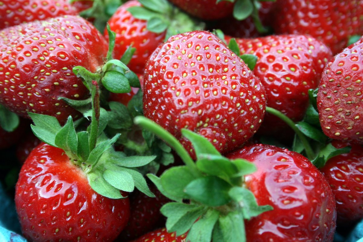 [strawberries_two-1.JPG]