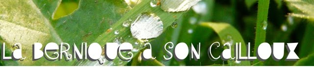 La bernique à Son Cailloux