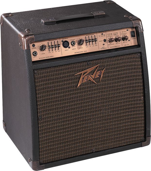 ICONS Music Peavey Ecoustic 110 EFX Amp