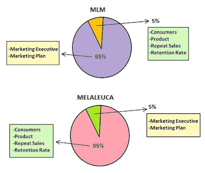 Melaleuca vs MLM