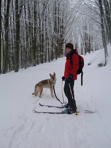 [4267319994_1d2f83505c.jpg]