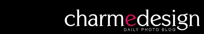 charmedesign daily photo