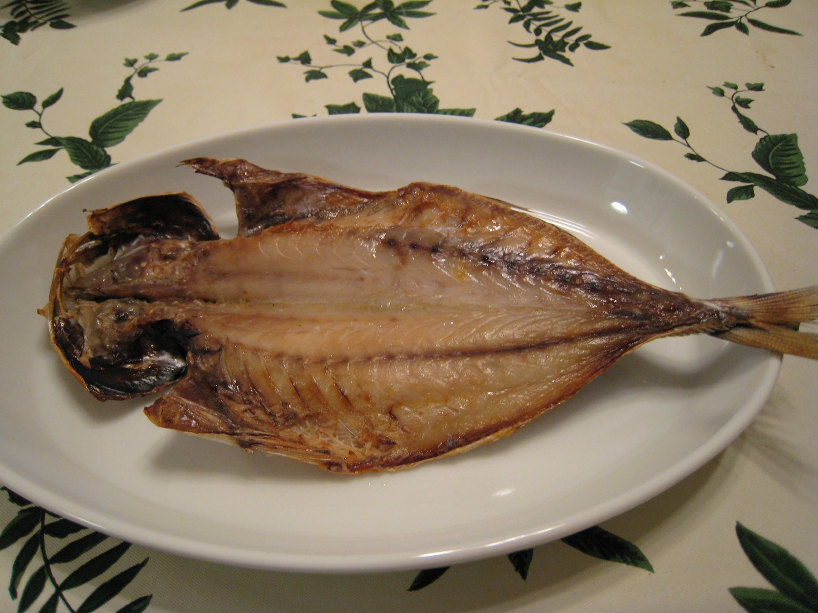 [IMG_0015.JPG]