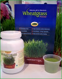 Wheat Grass Powder