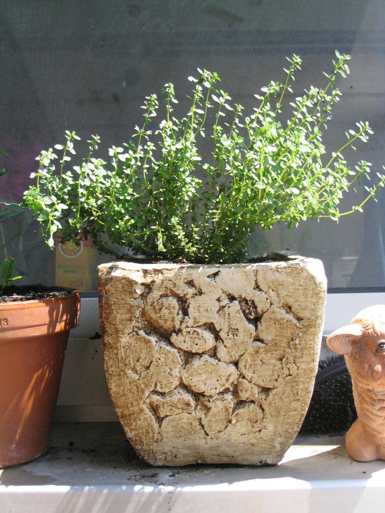 download indoor herb garden for free download indoor herb garden for free