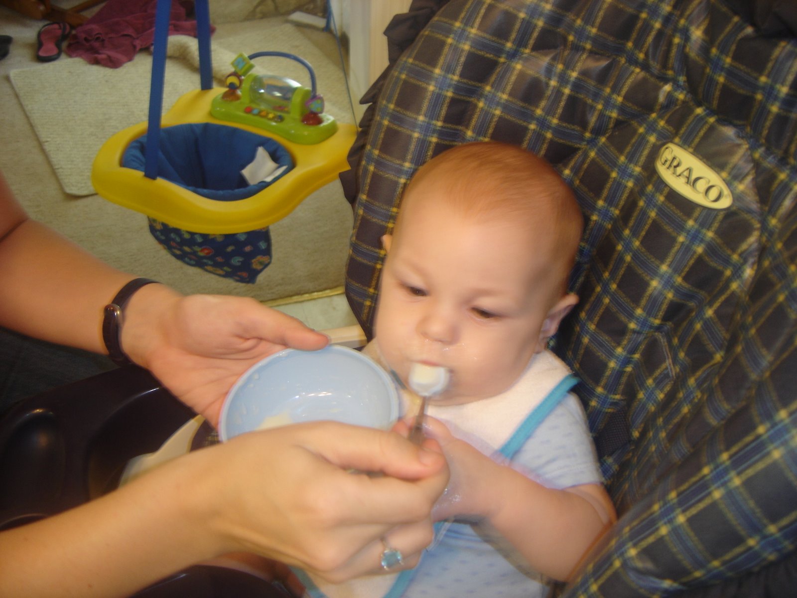[DSC05330.JPG]