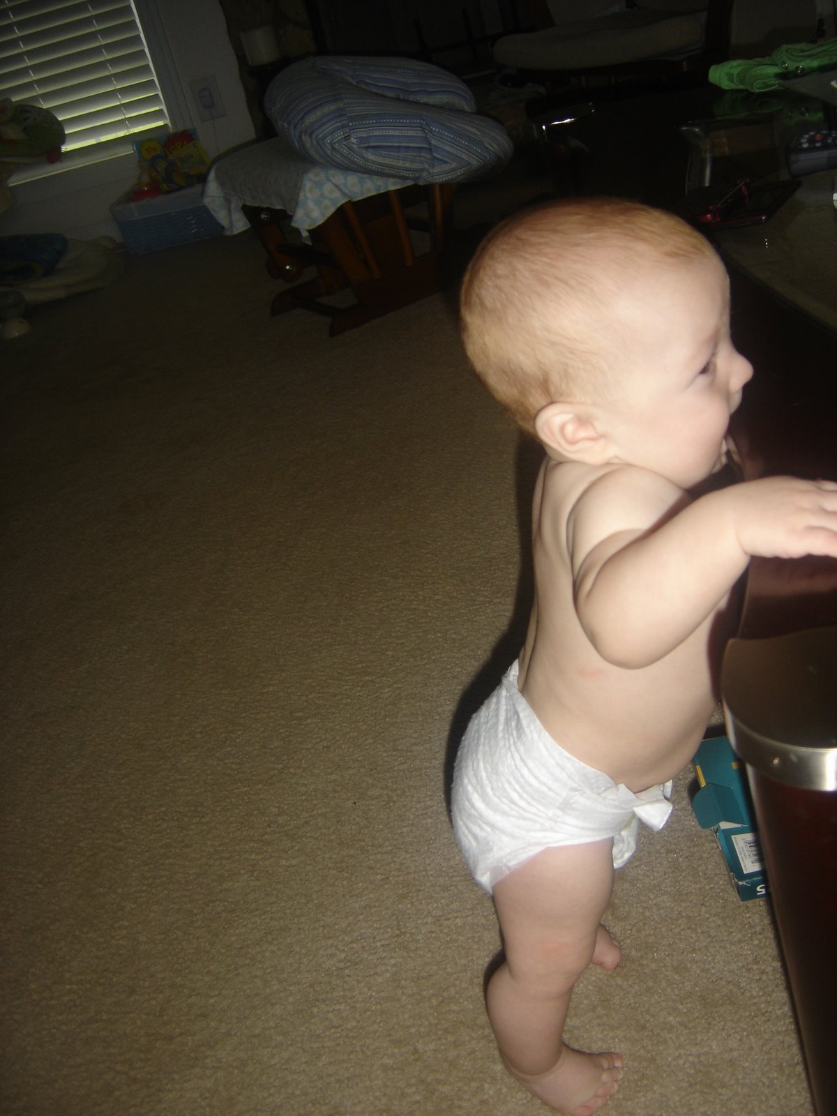 [DSC05382.JPG]