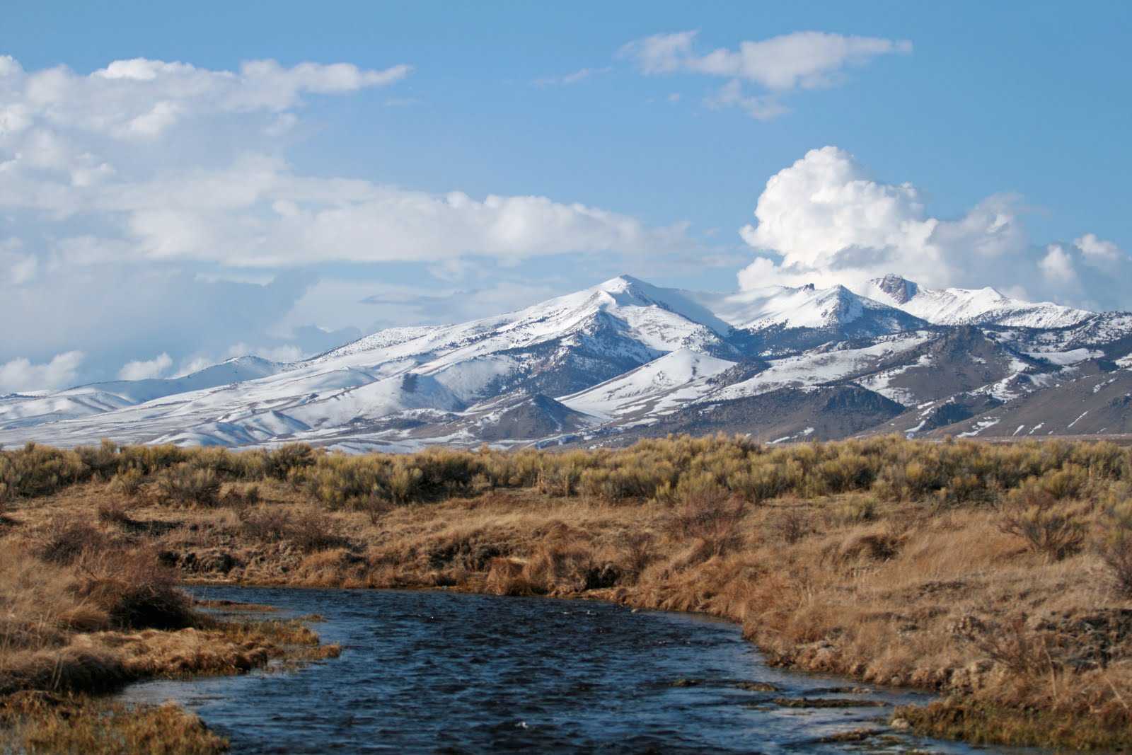 Kelli's Bird Safari Birch Creek, Idaho
