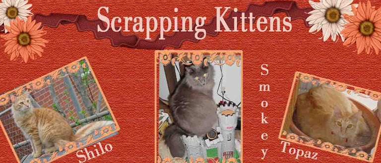 Scrapping Kittens