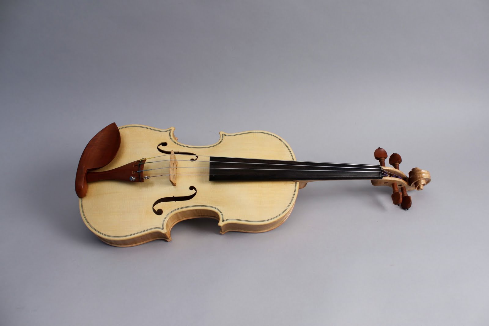 Wisdom of the Hands violin