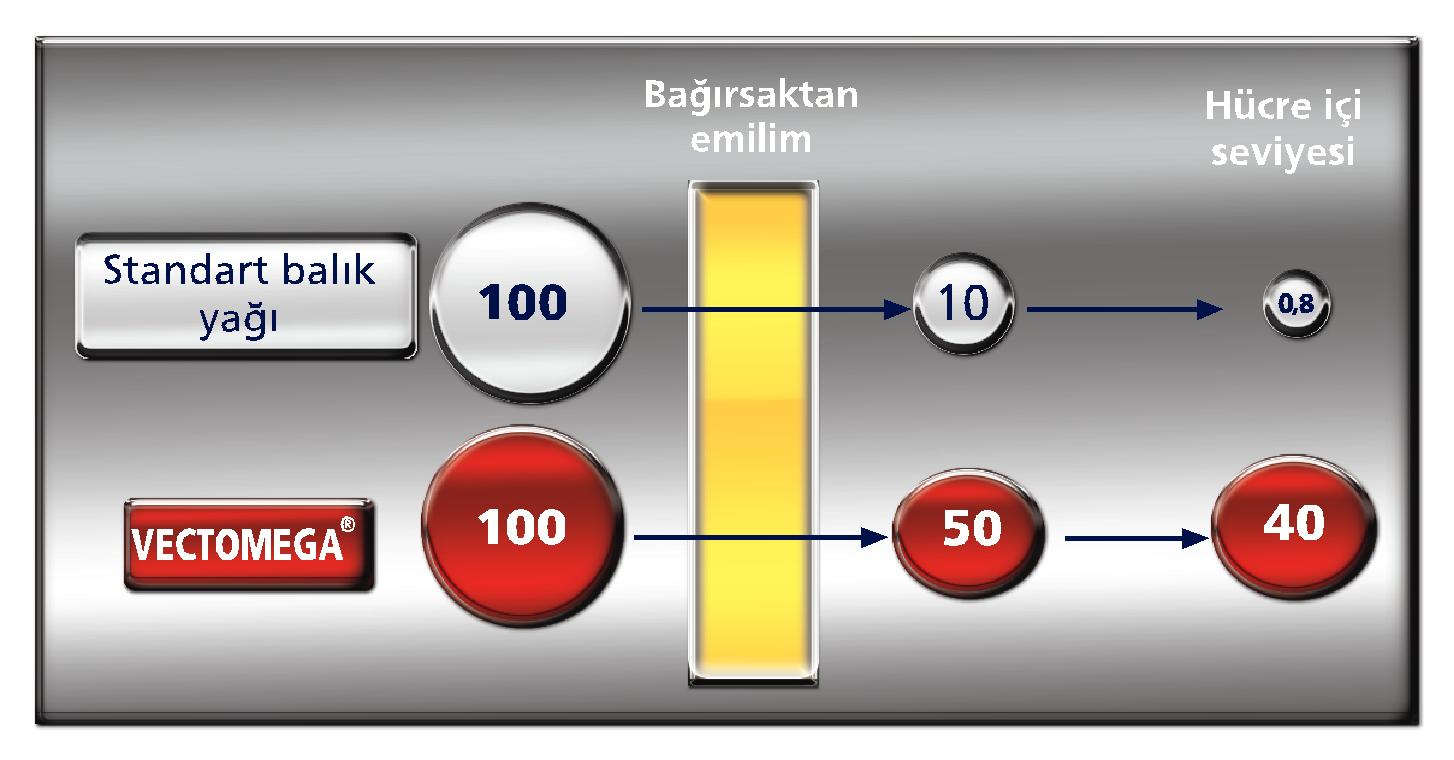 [emilim_vectomega.jpg]