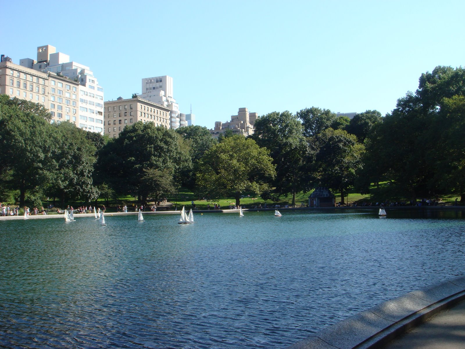 [DSC01895.JPG]
