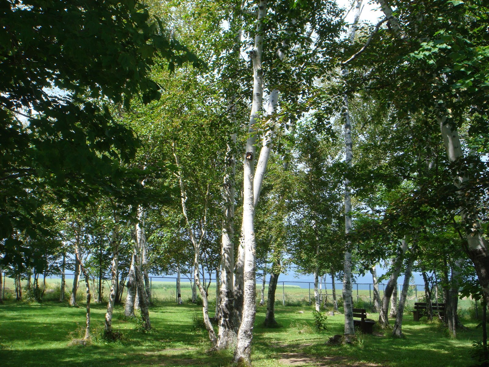 [DSC01718.JPG]