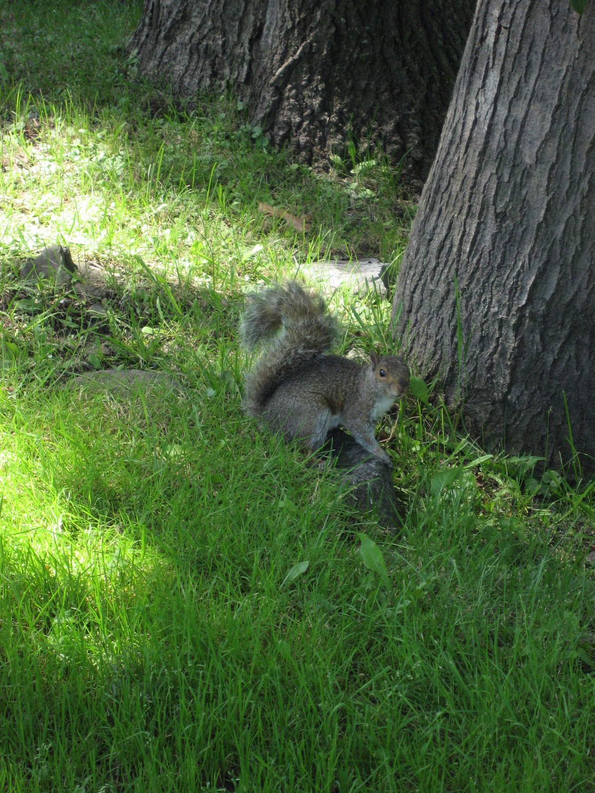 [IMG_2353.JPG]