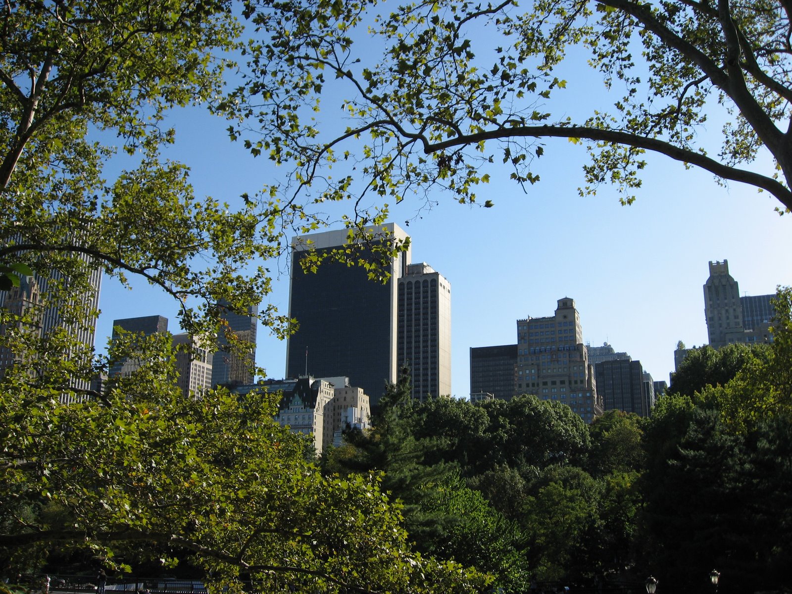 [central+park+(28).JPG]