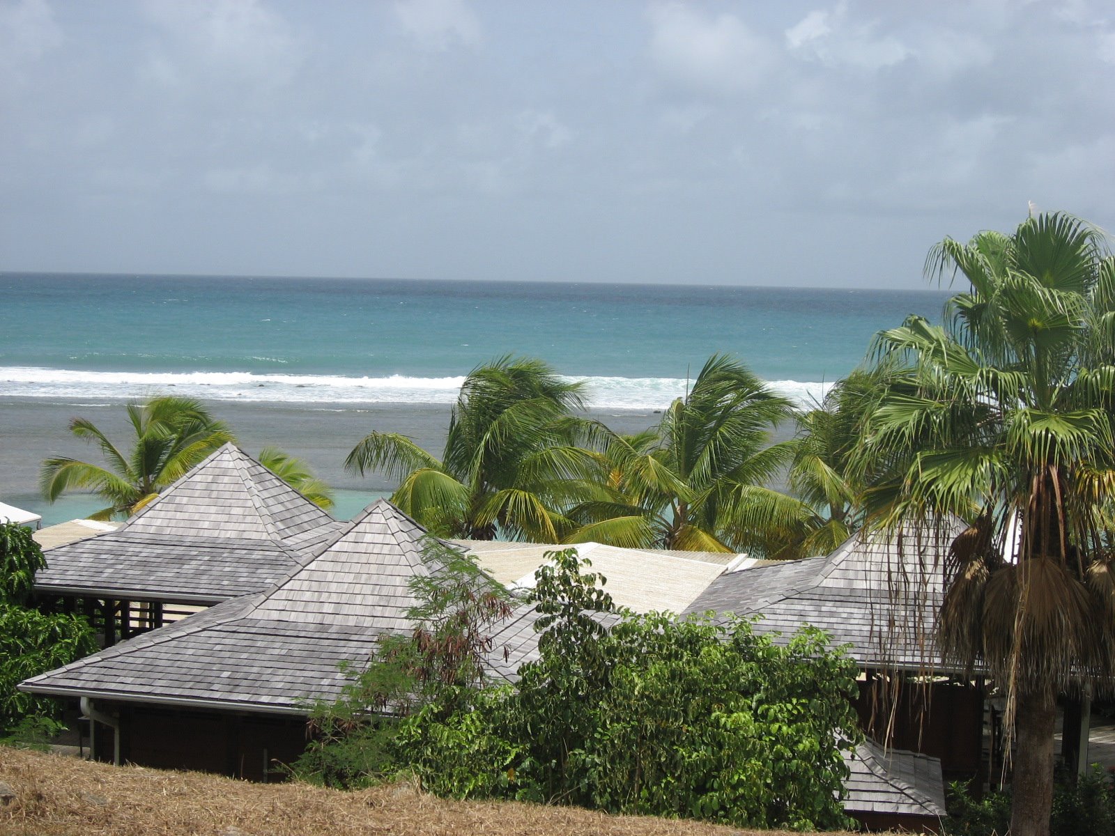 [IMG_2106.JPG]