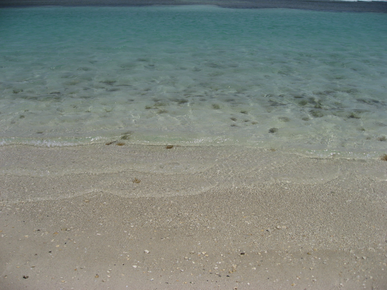 [IMG_2112.JPG]