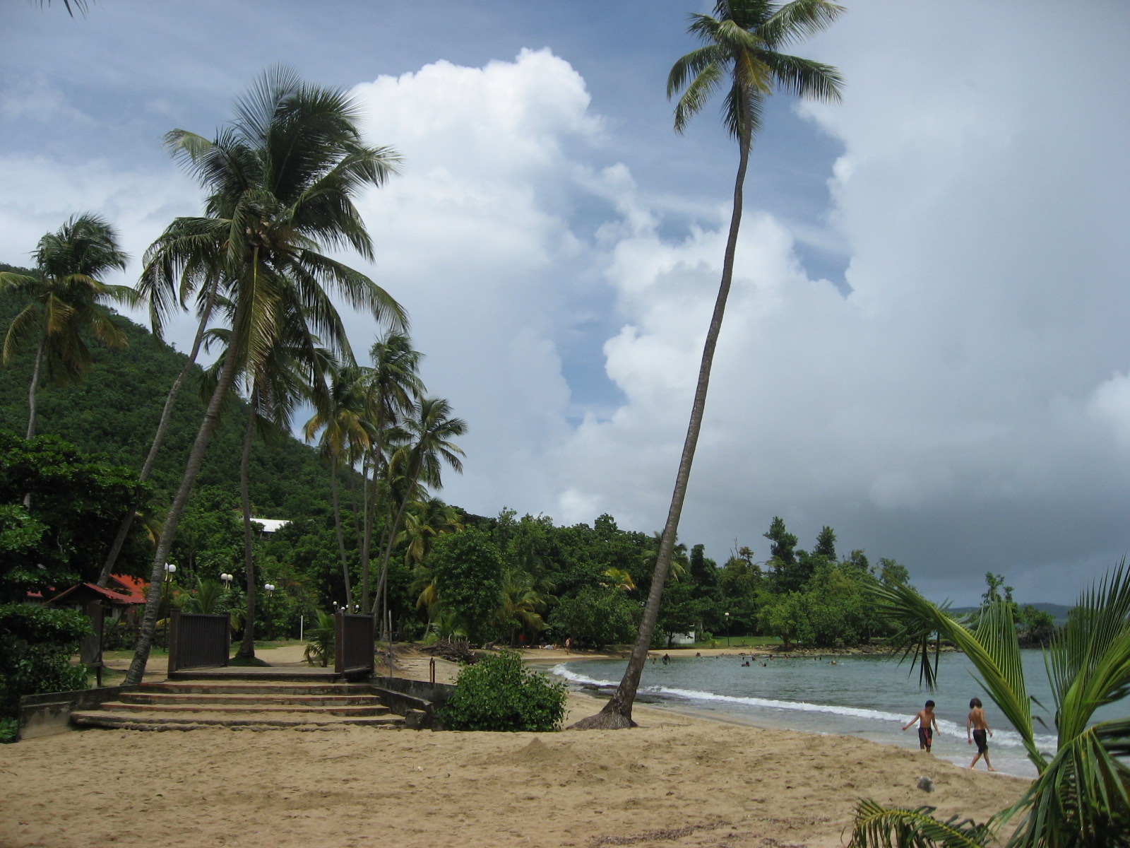 [IMG_2023.JPG]