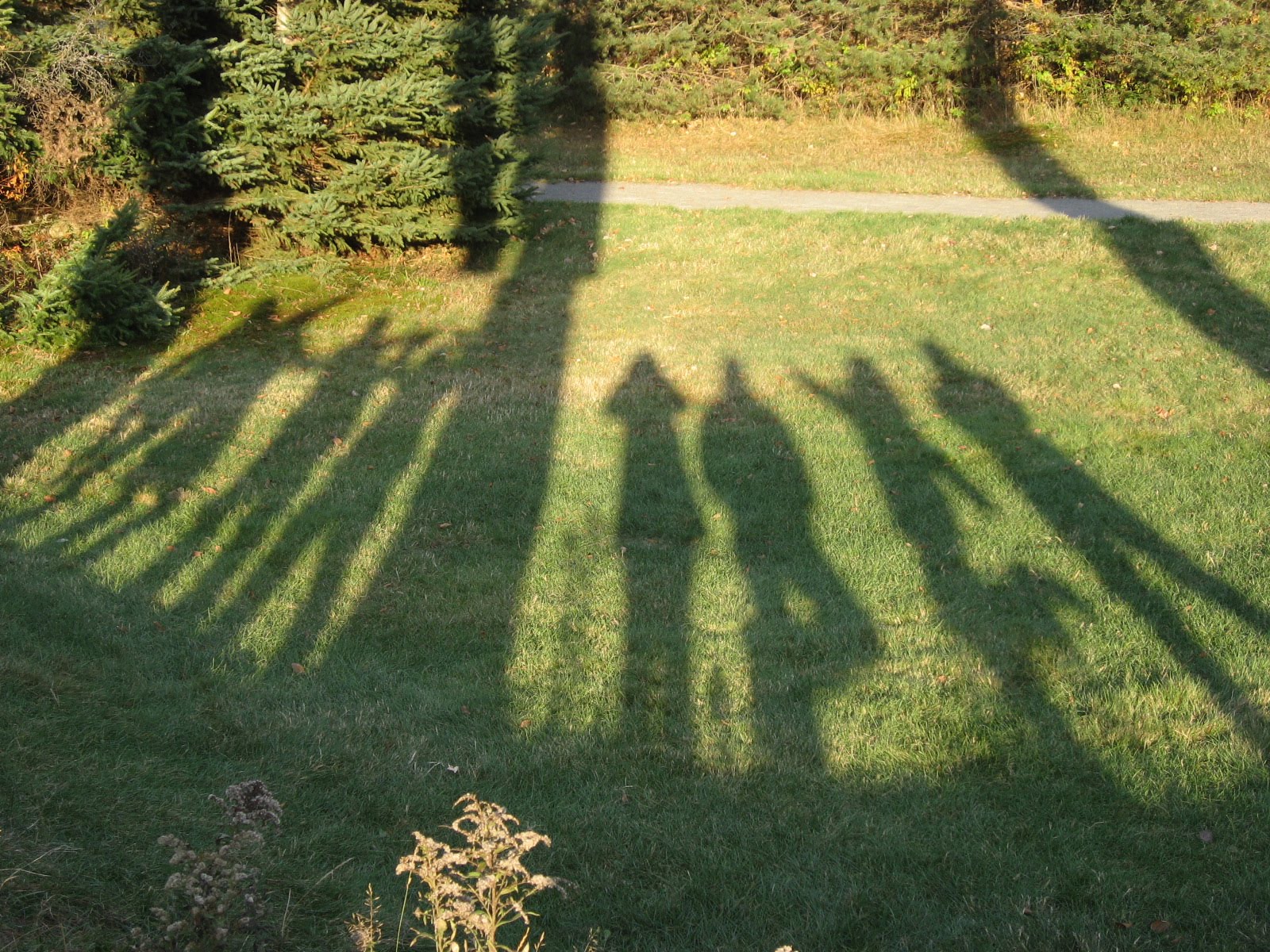 [IMG_2662.JPG]