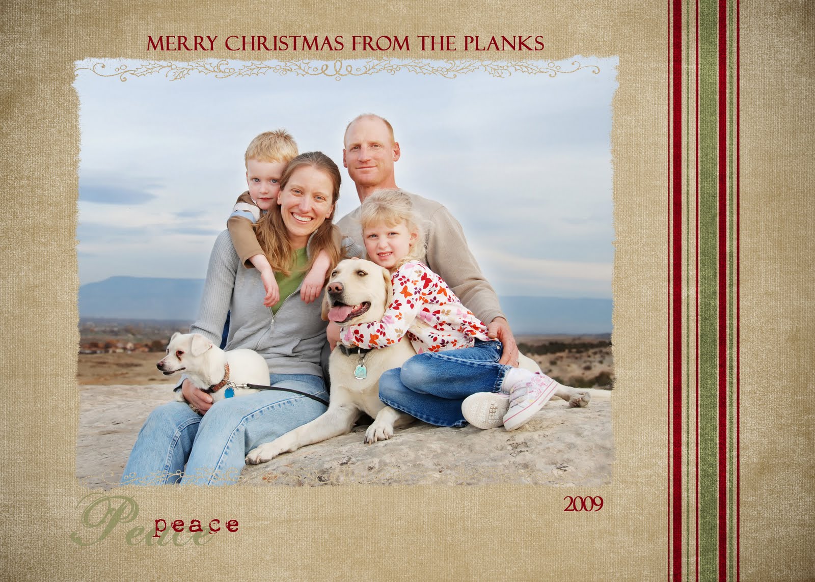 Jennifer Berry Photography: Christmas Card Examples