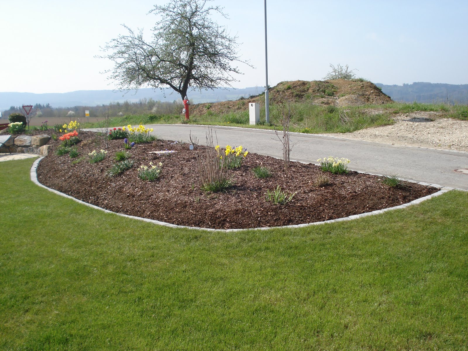 Bauen mit den Brachats: Rasen vertikutiert, Rasenkantensteine gesetzt