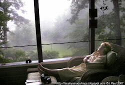 MUSHY S MOOCHINGS: RAIN RAIN COME AGAIN ANOTHER DAY