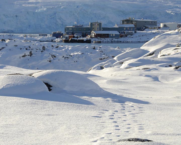 Winter at Palmer, Antarctica