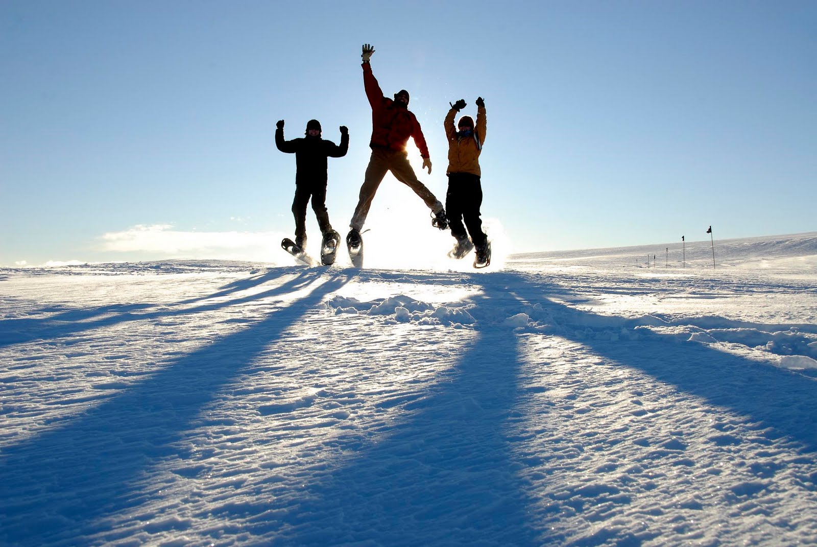 Winter at Palmer, Antarctica