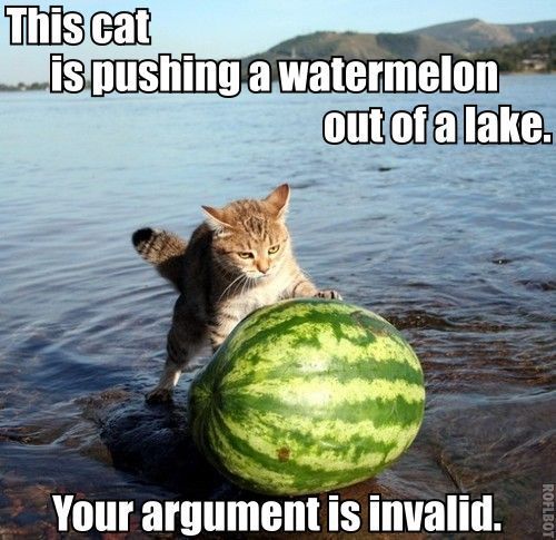 https://3.bp.blogspot.com/_yhbn_a97Rdo/S_5Mt--Dz_I/AAAAAAAAAFo/Uc6Y4otI-wg/s1600/cat_pushing_watermelon_argument_invalid.jpg