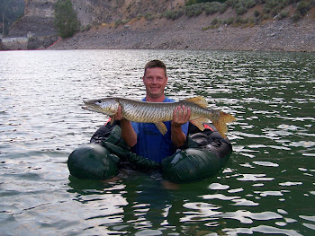 40 inch Pineview Tiger Musky