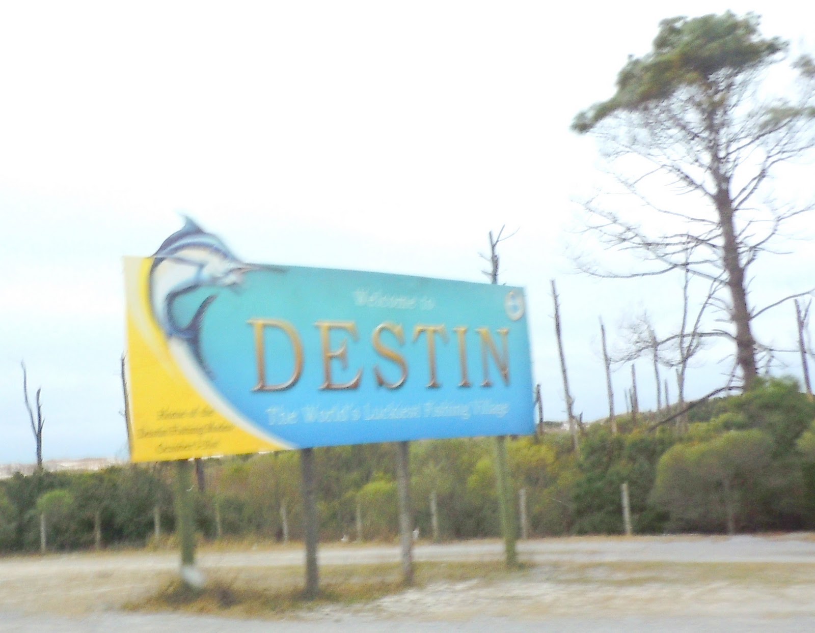 "Lil Darlings" by Carolyn Some New Places You Might Want