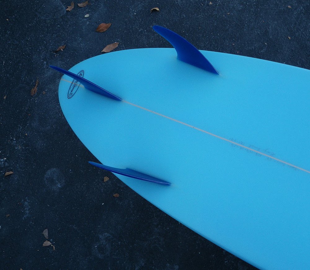 [blue_fins_1.jpg]