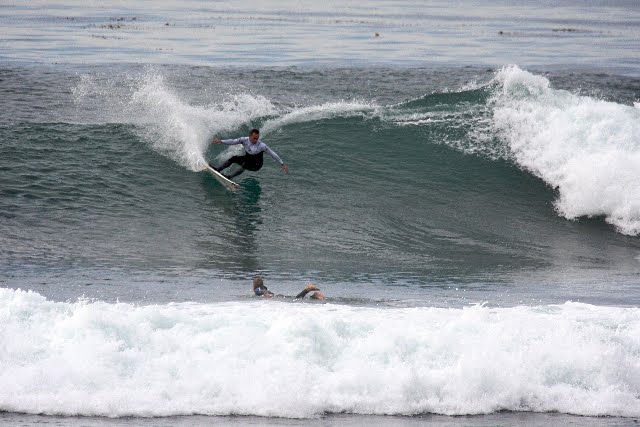 [taylor_knox.jpg]