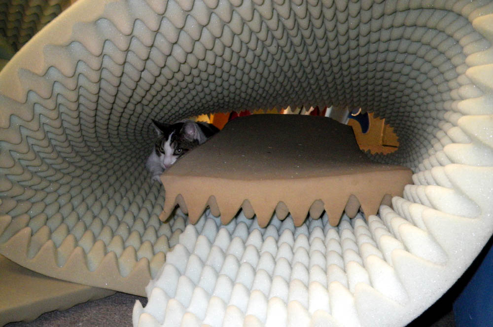 [moonkitty_foam_tube.jpg]