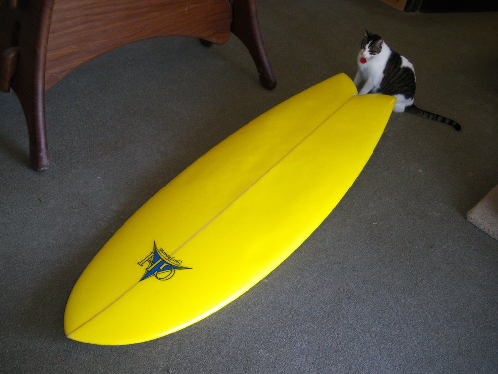 [GH_fish_moonkitty.jpg]