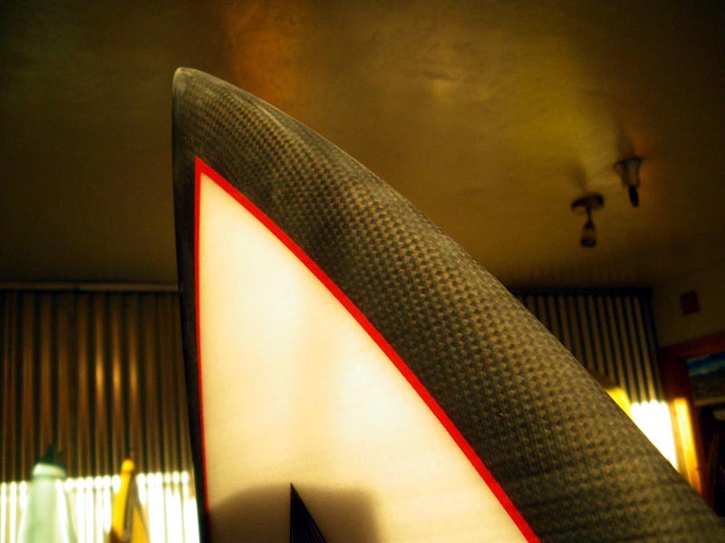 [carbon_rail_close.jpg]