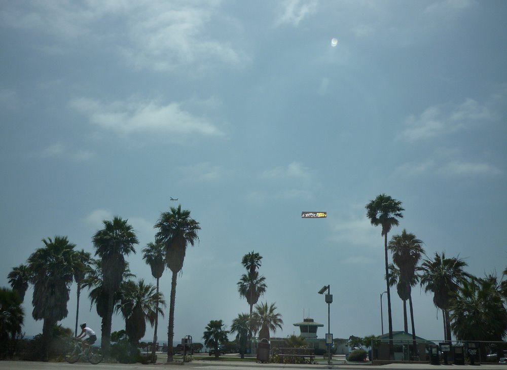 [surfy_sky_banner.jpg]