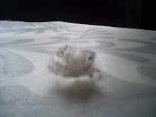 Pelusiando por Santiago...