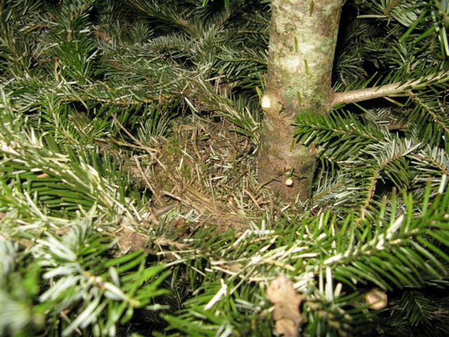 [IMG_5569+(Small).jpg]